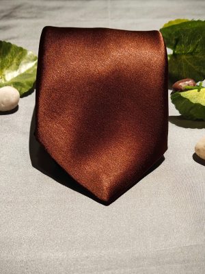 Stylish Rustic Brown Slim Tie