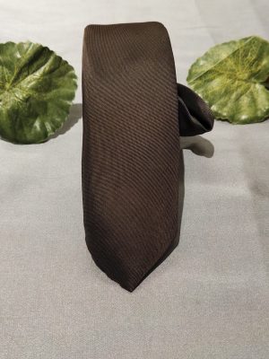 Stylish Tortilla Brown Slim Tie